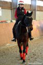 Filename=Weihnachtsreiten-2812b29.jpg
Filesize=676KiB
Dimensions=700x1049
Date added=Jan 08, 2015 Weihnachtsreiten-2812b29.jpg