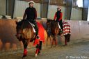 Filename=Weihnachtsreiten-282029b.jpg
Filesize=677KiB
Dimensions=1000x667
Date added=Jan 08, 2015 Weihnachtsreiten-282029b.jpg